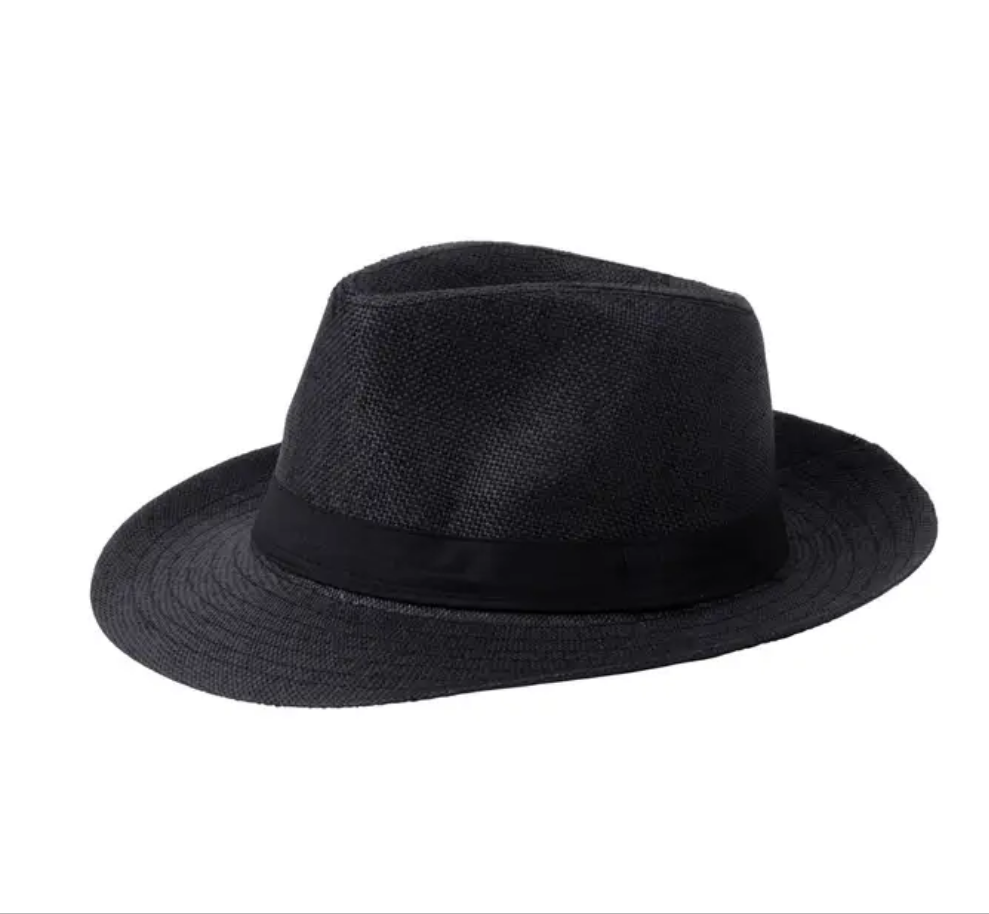 Wide brim fedora hat